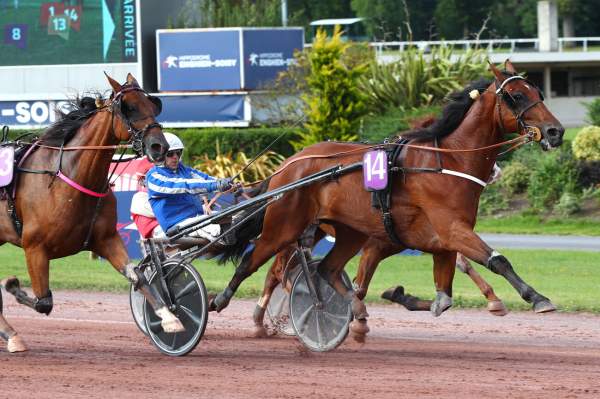 Hurricane Carter Arrivée Quinté+ Pmu Prix De Pigalle à ENGHIEN