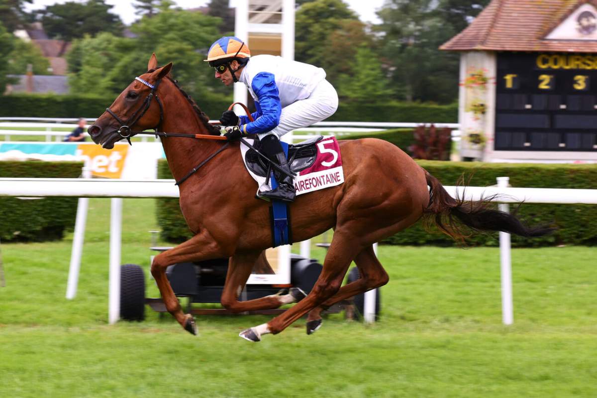 Résultat et rapports Quinté+ Pmu Prix Du Pavillon Royal à Longchamp le ...