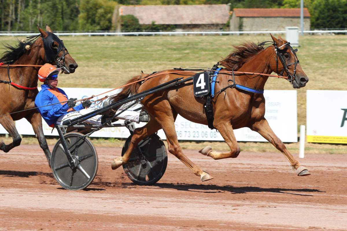 Pronostic gratuit du PRIX DE BEAUVAIS - 8 nov. 2025 par Canalturf