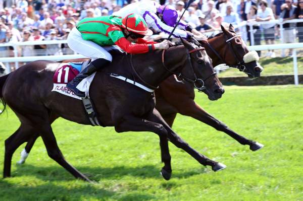 Johnny Hammer Arrivée Quinté+ Pmu Prix Nola Rennes Experience à CLAIREFONTAINE