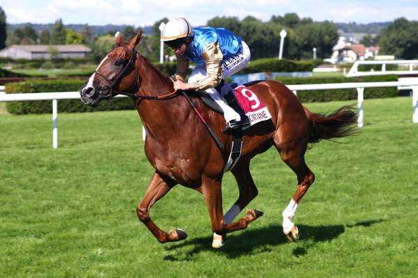 First Look arrivée pmu Prix du Pays d'Auge - 8è Étape du Défi du Galop hippodrome de Clairefontaine