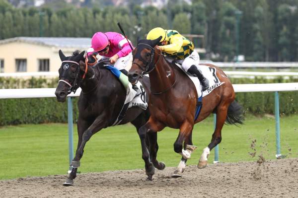 Reverso Arrivée Quinté+ Pmu Prix De La Villa Lucie à DEAUVILLE
