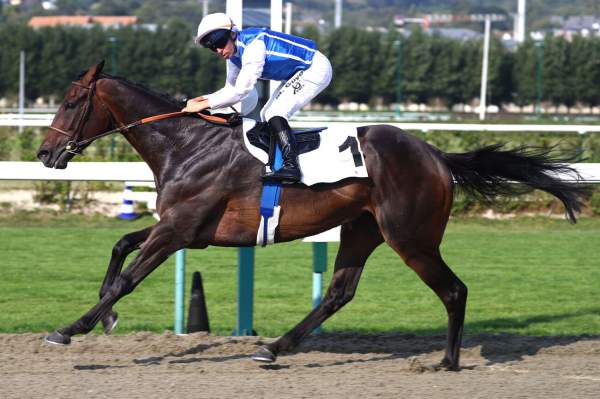 Gamestars Arrivée Quinté+ Pmu Prix Du Secours Populaire - Prix Des Collectivites Locales à DEAUVILLE