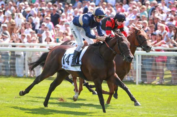 La photo de Contentious Soul