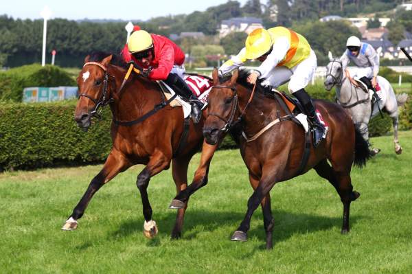 Naruto Arrivée Quinté+ Pmu Grande Course De Haies - Prix Guillaume D'Ornano à CLAIREFONTAINE