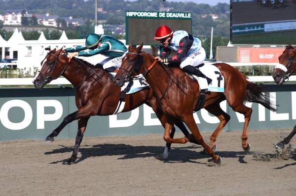 Thinthread Arrivée Quinté+ Pmu Prix Le Parisien (prix Des Chenettes) à DEAUVILLE
