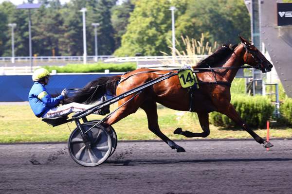 Liza Josselyn arrivée pmu  Prix Paul Leguerney - Critérium 4 Ans Q1 (Gr.II)à Vincennes