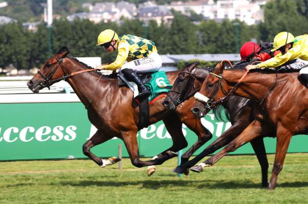 O'wood Arrivée Quinté+ Pmu The Aga Khan Studs Prix Des Greniers A Sel à DEAUVILLE
