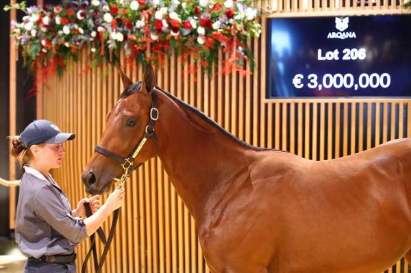 Yearling Ventes Deauville