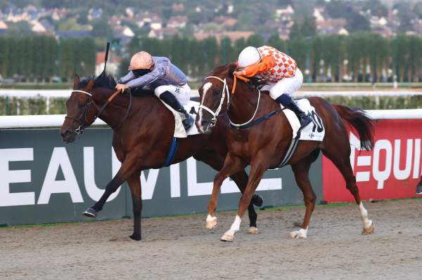Everstar Arrivée Quinté+ Pmu Prix Carrefour Deauville - Touques (prix Du Havre) à DEAUVILLE