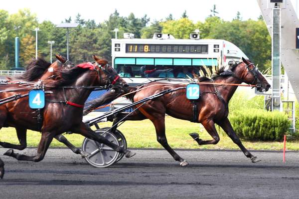 Diamond Truppo arrivée pmu Prix de Provence (Gr.III) à Vincennes