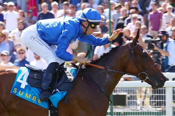 My Highness Arrivée PMU Sumbe Prix du Calvados à Deauville