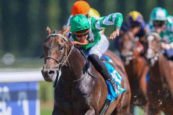 Colgan Senora Arrivée Quinté+ Pmu Sumbe Grand Handicap à DEAUVILLE