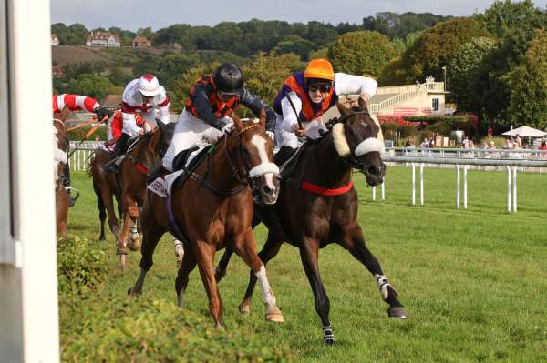 Showly Arrivée Quinté+ Pmu Grand Steeple-Chase De La Ville De Deauville à CLAIREFONTAINE