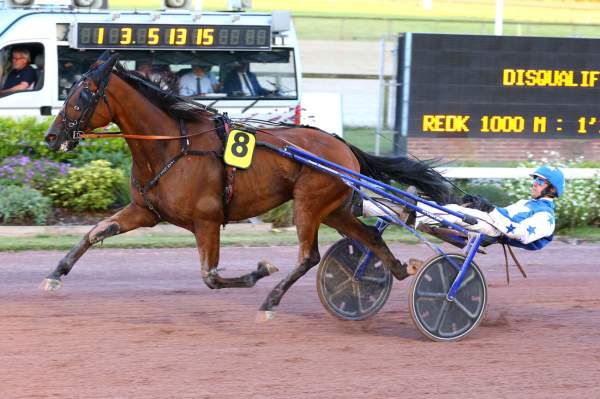 Jack Des Ass Arrivée Quinté+ Pmu Prix Des Escallonias à CABOURG