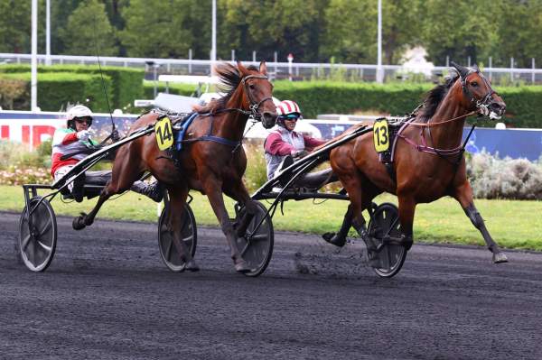 Magic Night Arrivée Quinté+ Pmu Prix Annick Dreux - Criterium 3 Ans Q4 à PARIS-VINCENNES