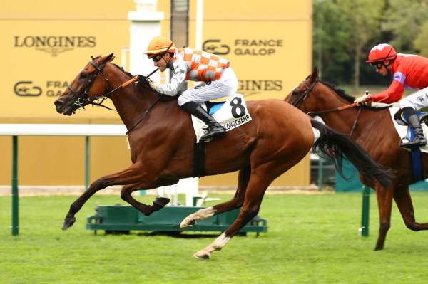 Bad Boy Arrivée Quinté+ Pmu Prix De La Reine Marguerite à LONGCHAMP