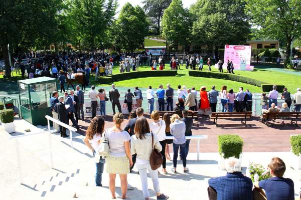 Hippodrome d'Auteuil Rond de présentation