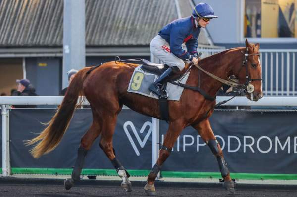 La photo de Love Letter