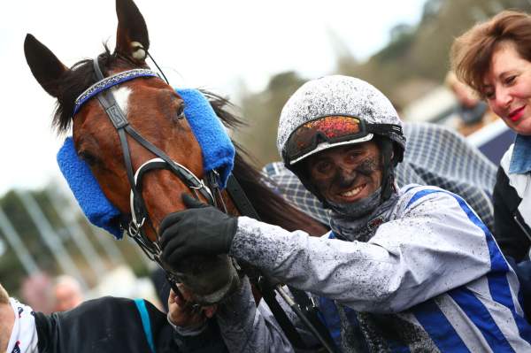 Inexess Bleu Alexandre Abrivard