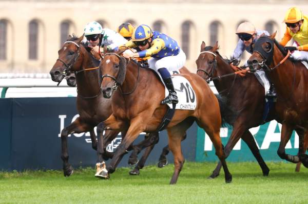 Serines Arrivée Quinté+ Pmu Prix Des Terres Noires à CHANTILLY