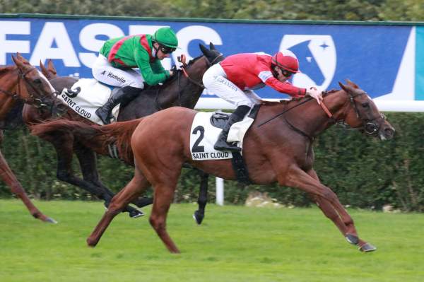 Light The Ghost Arrivée Quinté+ Pmu Prix De Saint-Pair-Du-Mont à SAINT CLOUD