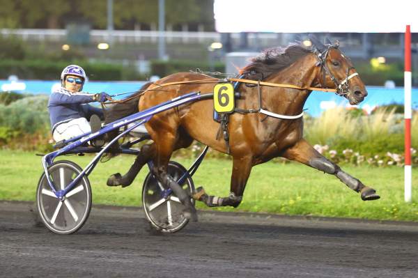Killer Meslois Arrivée Quinté+ Pmu Prix Bruna à PARIS-VINCENNES