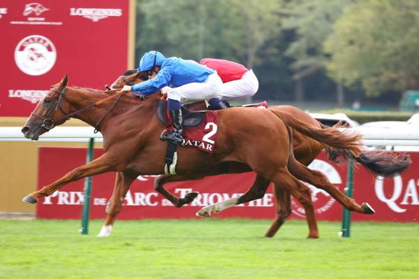 Cualificar Arrivée PMU Qatar Prix Niel 2025 à ParisLongchamp
