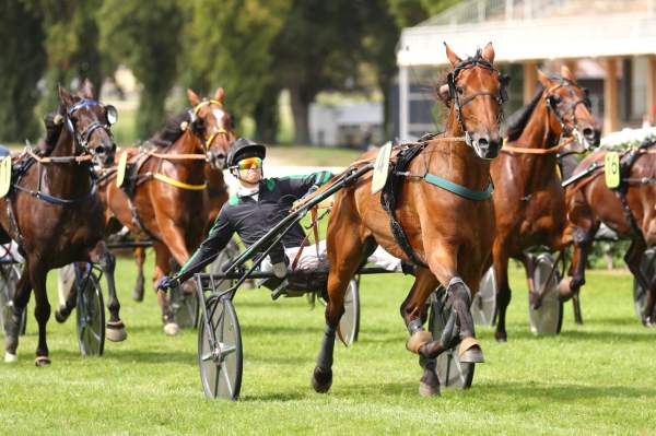 Hades De L'iton Arrivée Quinté+ Pmu Prix V And B à CRAON