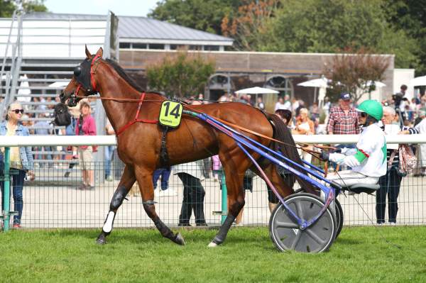 Hidalgo Des Noes Gagnant du trophée Vert 2025 Le trot