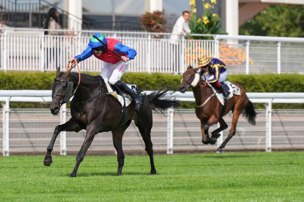 Hamandio Arrivée Quinté+ Pmu Prix Jean Bart à AUTEUIL