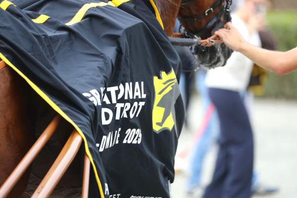 Grand National Du Trot 2025 