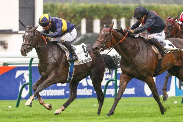 Don't Shut Me Down Arrivée Quinté+ Pmu Prix De Longchamp à LONGCHAMP
