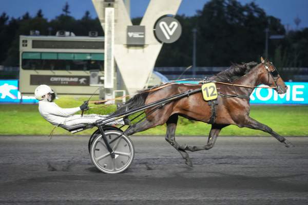 Power Doc Arrivée Quinté+ Pmu Prix Algorah à PARIS-VINCENNES
