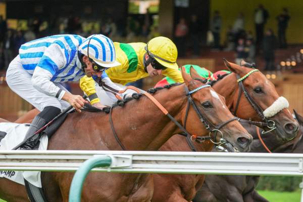 Olympic Goal Arrivée Quinté+ Pmu Super Handicap De La Rentree à LONGCHAMP