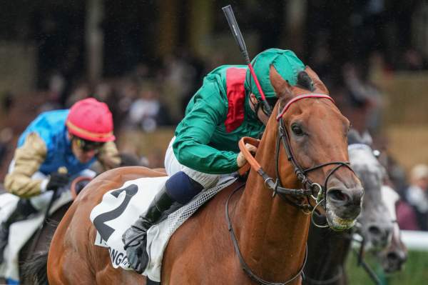 Roshvar Arrivée PMU Prix du Pin 2025 à ParisLongchamp