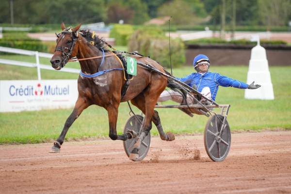 Kingslayer Pellini Arrivée Quinté+ Pmu Grand Prix De L'Agglomeration D'Agen