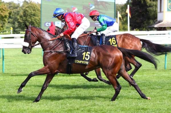 Sitjar Arrivée Quinté+ Pmu Prix De La Fédération Du Nord à COMPIEGNE