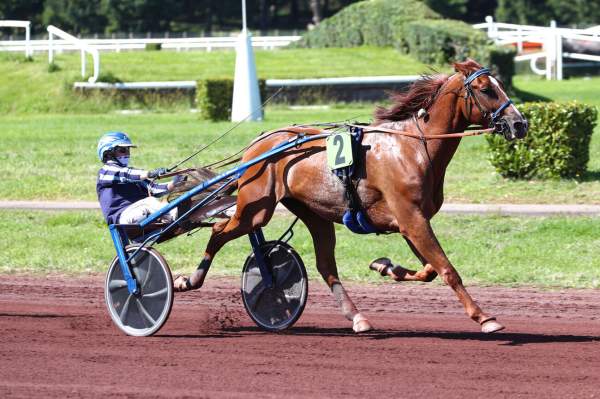 Indice D'argent Arrivée Quinté+ Pmu Prix De Vincennes à LYON PARILLY