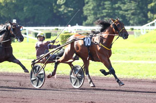 Ino Du Lupin Arrivée Pmu du Grand Prix du Centre-Est à Lyon-Parilly