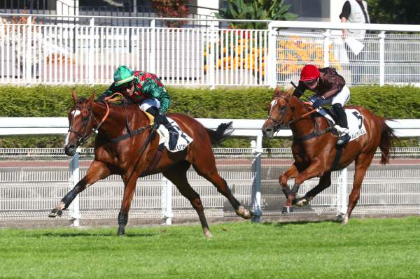 Matin Midi Et Soir Arrivée du Prix Robert Lejeune 2025 à Auteuil