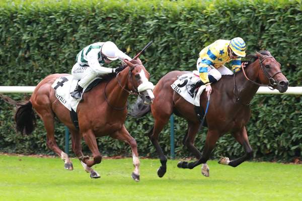 Baileys Bachelor Arrivée Quinté+ Pmu Prix Du Cabinet Des Livres à Chantilly