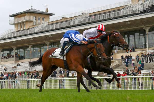Zabeel Light Arrivée PMU Prix Bertrand de Tarragon - Fonds Européen de l'Elevage à Vincennes