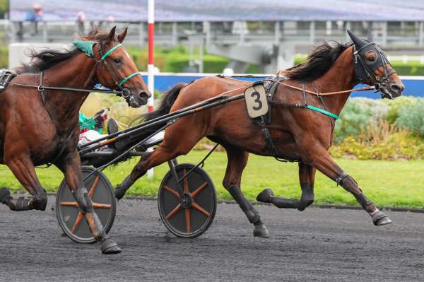 Moonwalk D'heripre arrivée pmu Prix d'Angeul à Vincennes