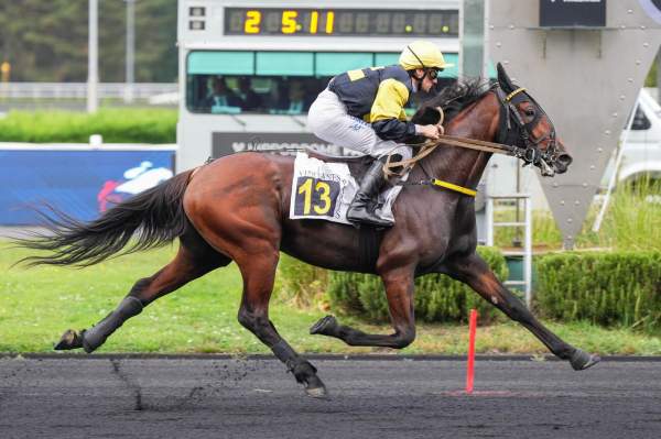 Morpheus Du Loisir arrivée pmu Prix de Bagnères à Vincennes