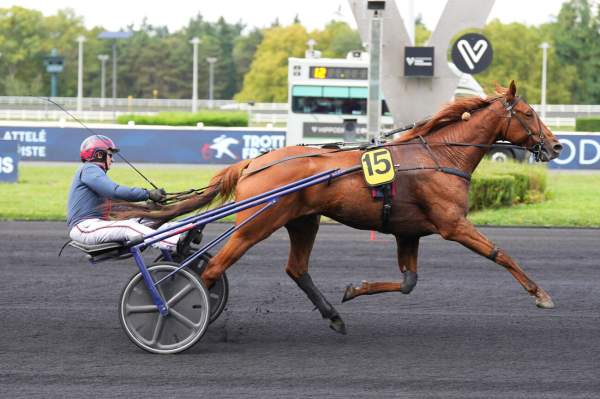 Jazzman arrivée Quinté+ pmu Prix de Taverny à Vincennes
