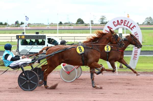 La photo de Ialko Jenilat