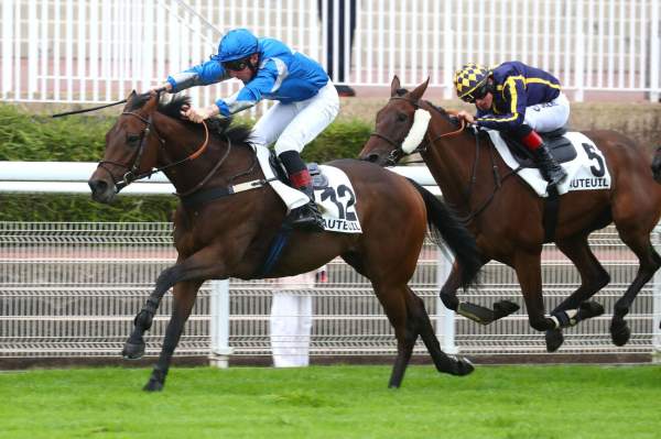 La photo de Polyrisk