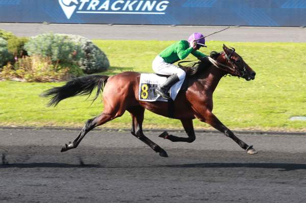 La photo de Lionheart