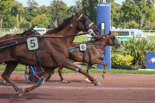 La photo de Hercule De Leau
